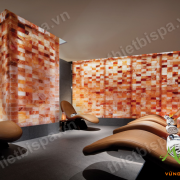 Phòng xông hơi đá muối ms 05 Phòng xông hơi đá muối ms 05