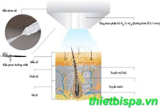 Nguyên lý hoạt động máy oxigen jet Nguyên lý hoạt động máy oxigen jet