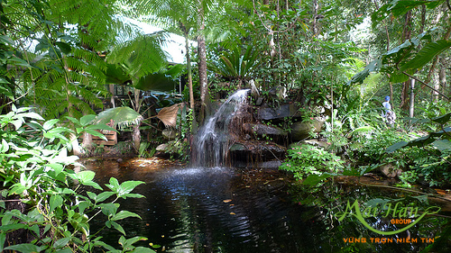 Eco - spa - loại hình spa sinh thái Eco-spa