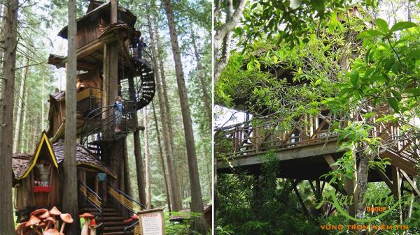 Resort Spa Treehouse Bali Resort Spa Treehouse Bali