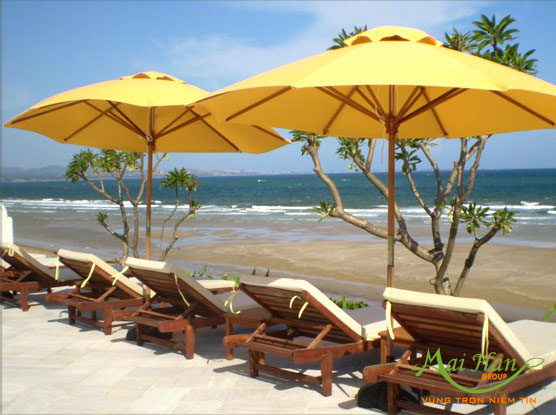 Phơi nắng Phơi nắng