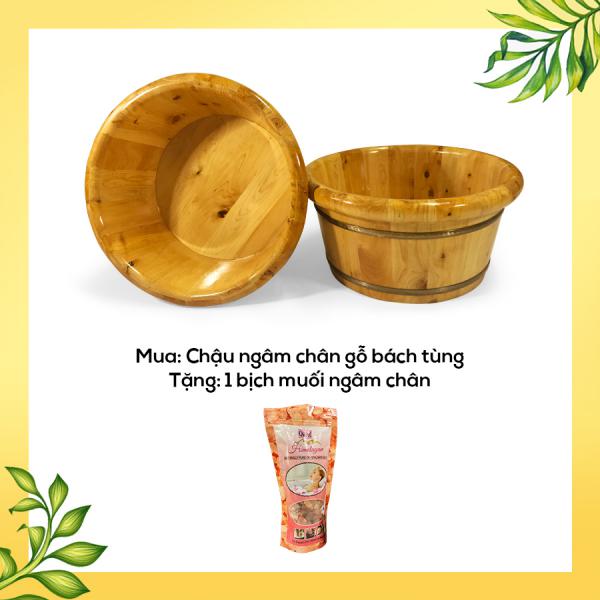 chau ngam chan go bach tung