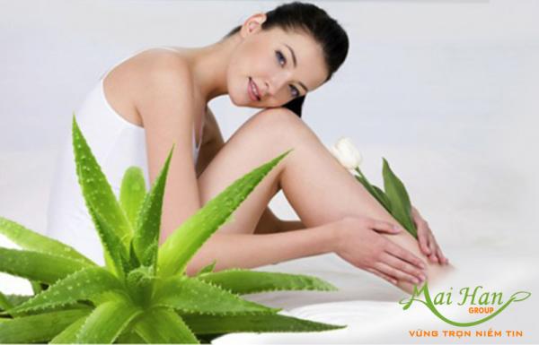 Cách trị sẹo lồi đơn giản mà hiệu quả với lô hội