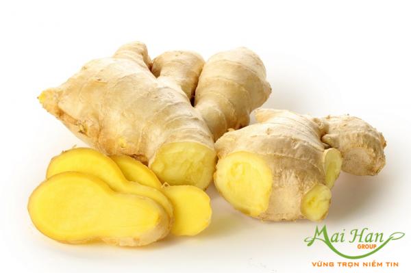 2 phương pháp giảm béo hiệu quả chỉ trong vài tuần: gừng và rượu 2 phương pháp giảm béo hiệu quả chỉ trong vài tuần: gừng và rượu