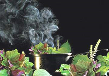 Xông hơi truyền thống: liệu pháp chăm sóc sức khỏe thông minh của người Việt Xông hơi truyền thống: liệu pháp chăm sóc sức khỏe thông minh của người Việt