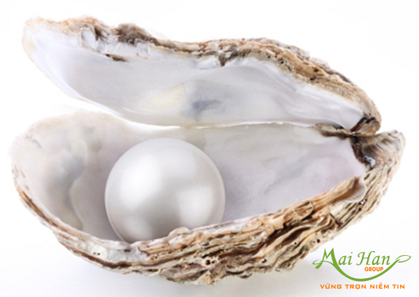 Ba giải pháp trị sẹo rỗ từ thiên nhiên hiệu quả: Mật ong và bột ngọc trai