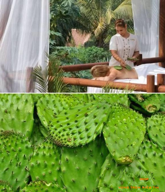 Tổng hợp 7 kiểu spa đặc biệt hiện nay: ngâm trong rượu sa kê