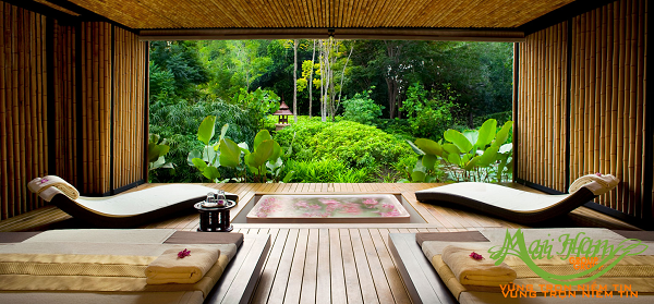 Làm sao để thiết kế spa đẹp từ các góc nhìn:thiên nhiên Làm sao để thiết kế spa đẹp từ các góc nhìn:thiên nhiên