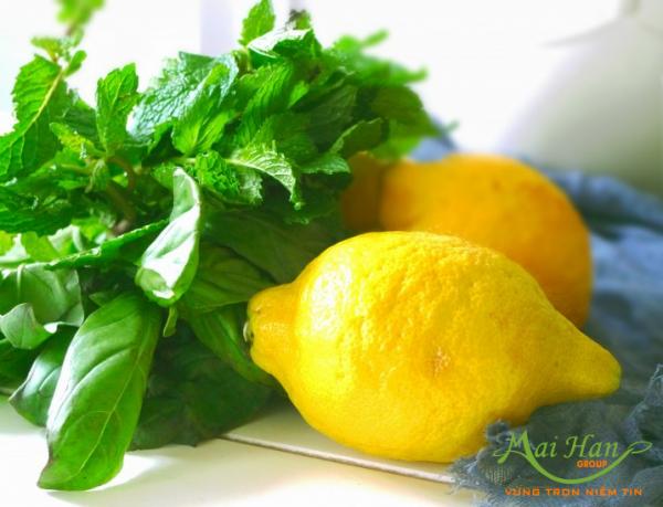 Những lưu ý cần nhớ khi sử dụng nguyên liệu xông hơi