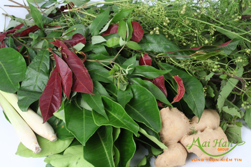 Xông hơi giải cảm làm sao để hiệu quả với các loại lá Xông hơi giải cảm làm sao để hiệu quả với các loại lá