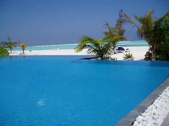 Hồ bơi ở olhuveli beach Hồ bơi ở olhuveli beach