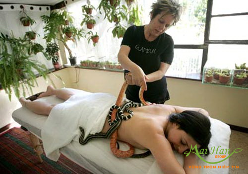 Spa bằng rắn