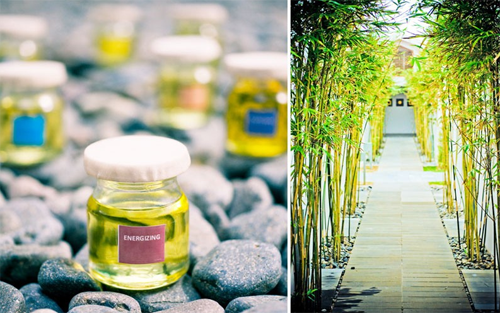 Thiên đường spa đẳng cấp ở Fusion Maia Đà Nẵng-dịch vụ spa chuyên nghiệp Thiên đường spa đẳng cấp ở Fusion Maia Đà Nẵng
