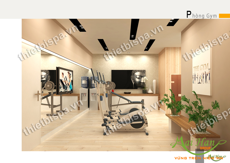 thiết kế spa phòng gym