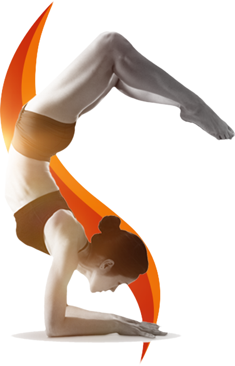 Công trình phòng xông hơi đá muối Rock Salt Sauna ProCoach – Quận 1 Công trình phòng xông hơi đá muối Rock Salt Sauna ProCoach – Quận 1