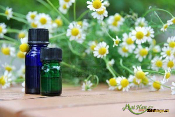 xông hơi da mặt với tinh dầu