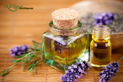 Tinh dầu hương thảo xông hơi với tinh dầu hỗ trợ điều trị viêm xoang