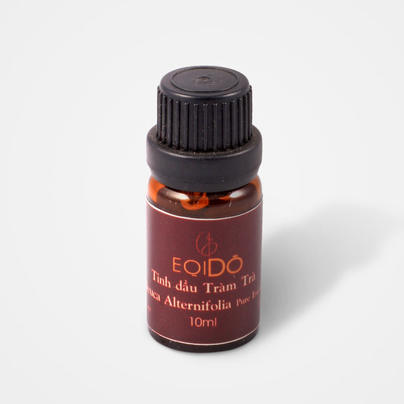 Tinh dầu tràm trà tinh dầu tràm trà
