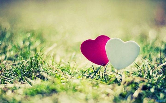 Love Stone - Đá của tình yêu: Món quà sức khỏe thay cho lời yêu thương Love Stone - Đá của tình yêu: Món quà sức khỏe thay cho lời yêu thương