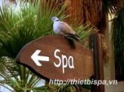 tư vấn tiếp thị spa tư vấn tiếp thị spa