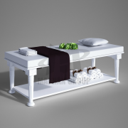 Giường Massage MS 15 Giường Massage MS 15